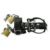 Deluxe Total Chastity Cock & Ball Device - - Male Chastity